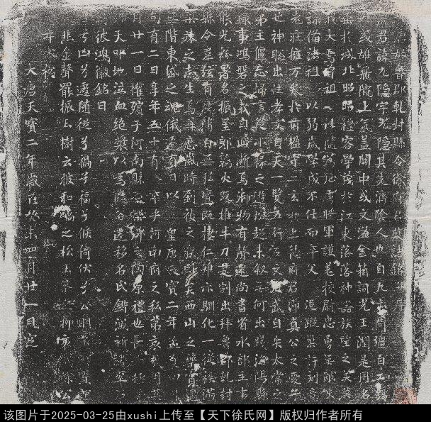 唐魯郡乾封縣令徐元隱墓誌銘