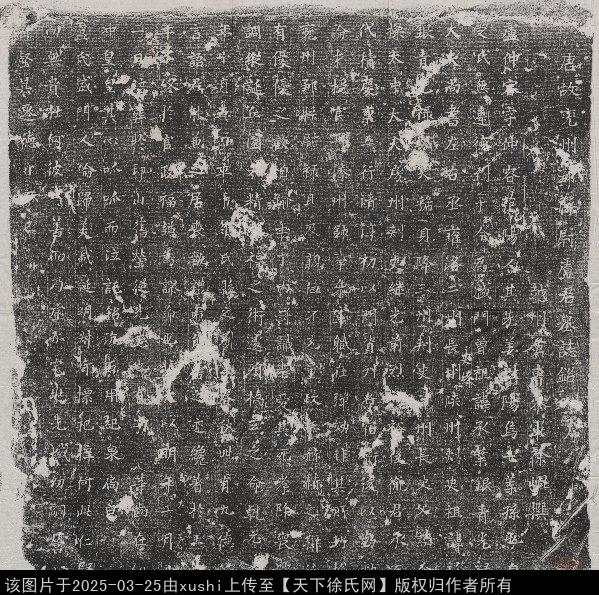 唐兗州鄒縣尉盧仲容墓誌銘