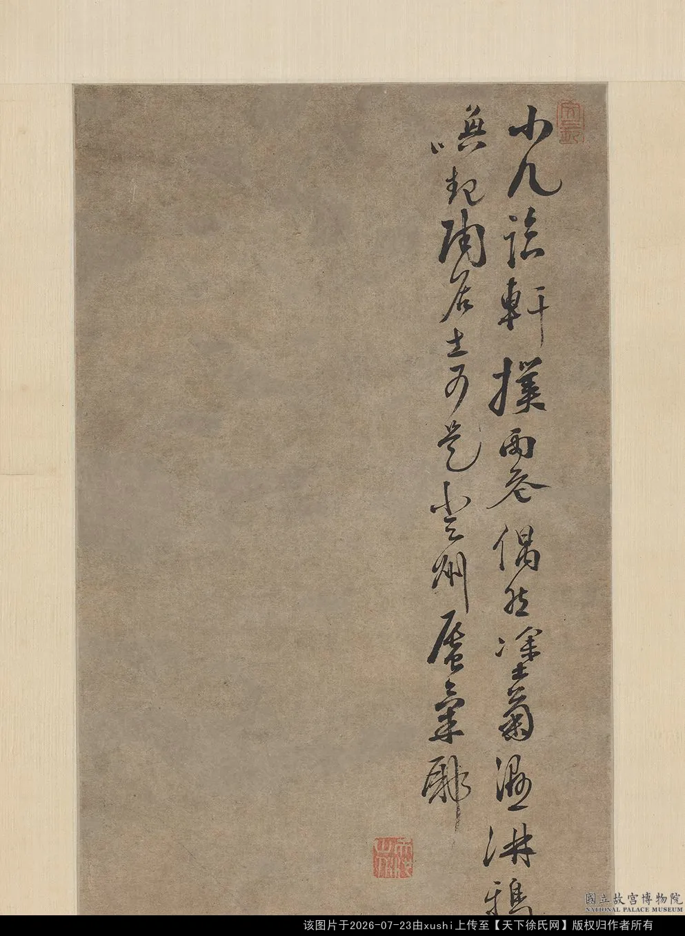 明徐渭菊石