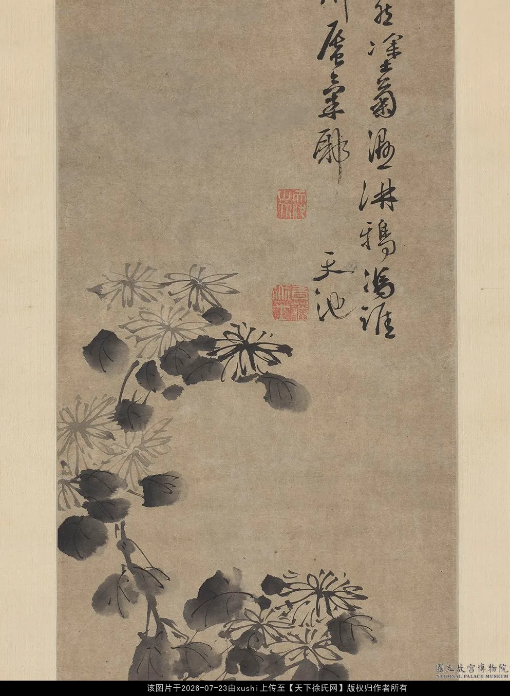 明徐渭菊石
